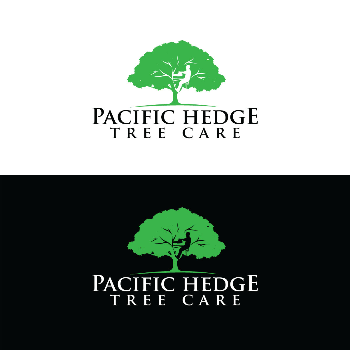 Design de Logo par prodesigns99 pour Pacific Hedge Tree Care | Design #34518192