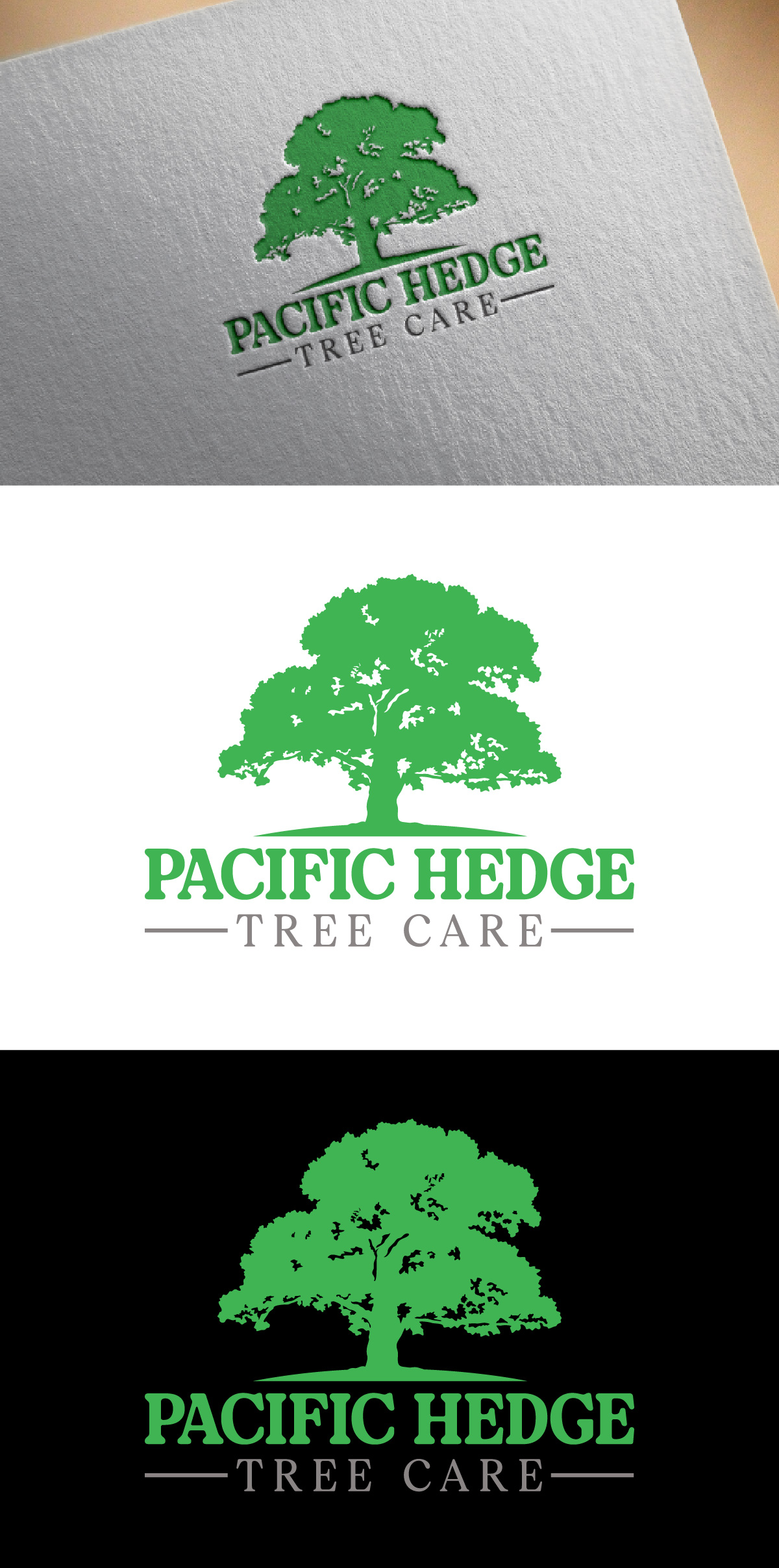 Logo Design by fly  design for Pacific Hedge Tree Care | Design #34528168