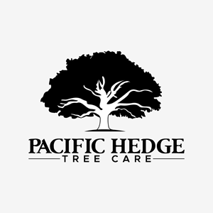 Logo Design by fly  design for Pacific Hedge Tree Care | Design: #34528170