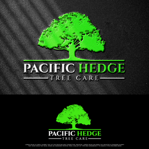 Logo Design by fly  design for Pacific Hedge Tree Care | Design: #34528173