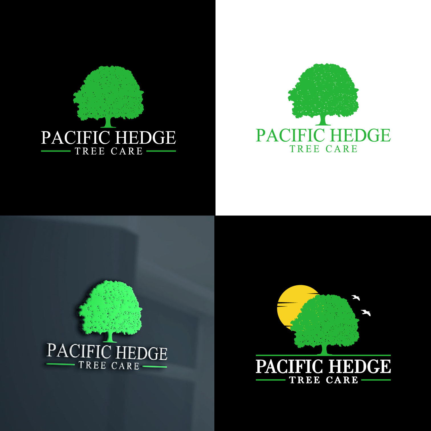 Design de Logo par 4tech services pour Pacific Hedge Tree Care | Design #34517515