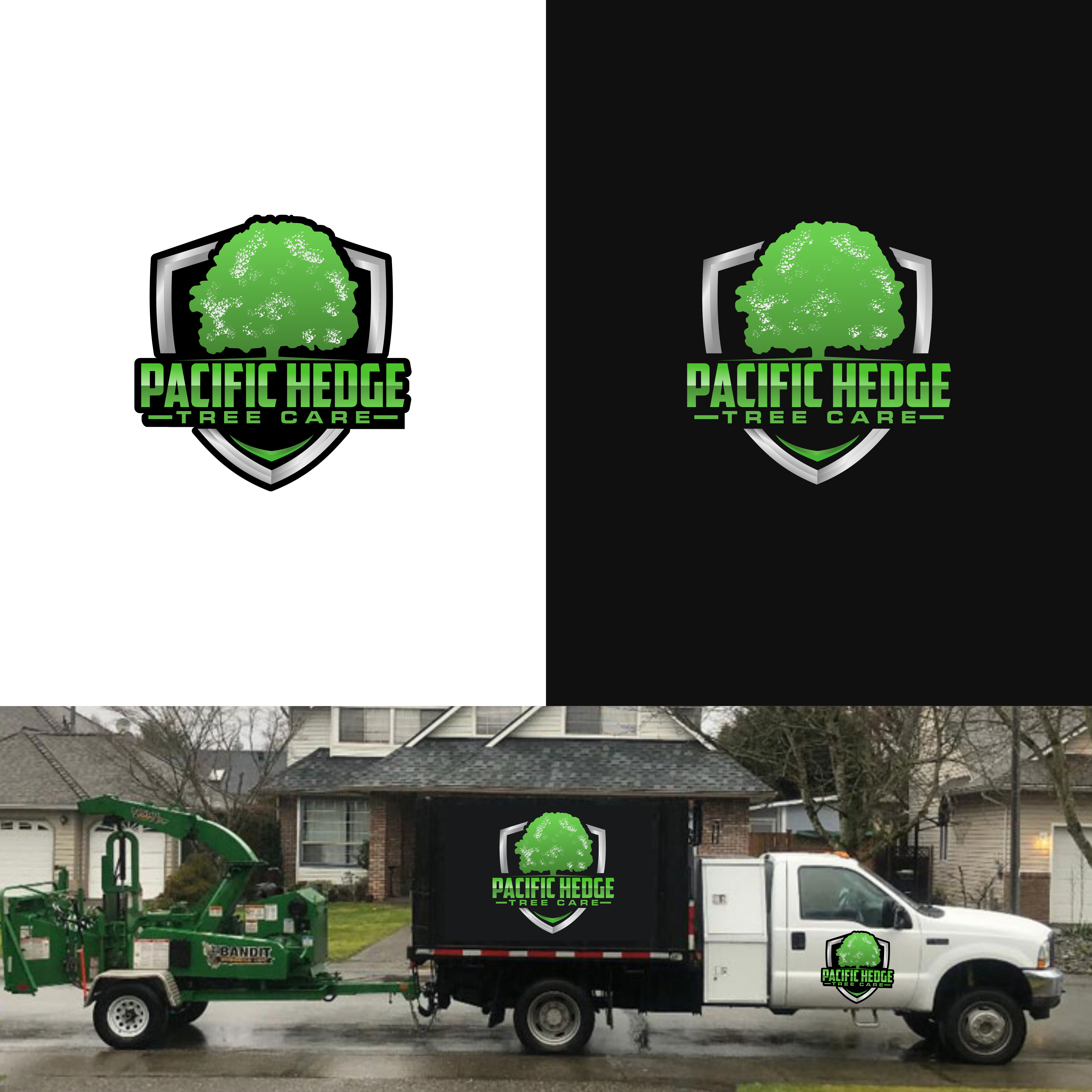 Logo Design by ybmdesign for Pacific Hedge Tree Care | Design #34526108