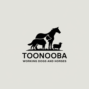 Diseño de Logo por AMBStudio para este proyecto | Diseño: #34595483