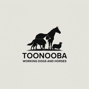 Diseño de Logo por AMBStudio para este proyecto | Diseño: #34595647