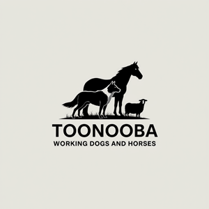 Diseño de Logo por AMBStudio para este proyecto | Diseño: #34595651