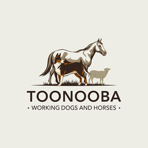 Diseño de Logo por AMBStudio para este proyecto | Diseño: #34595666