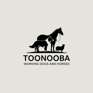 Diseño de Logo por AMBStudio para este proyecto | Diseño: #34595670