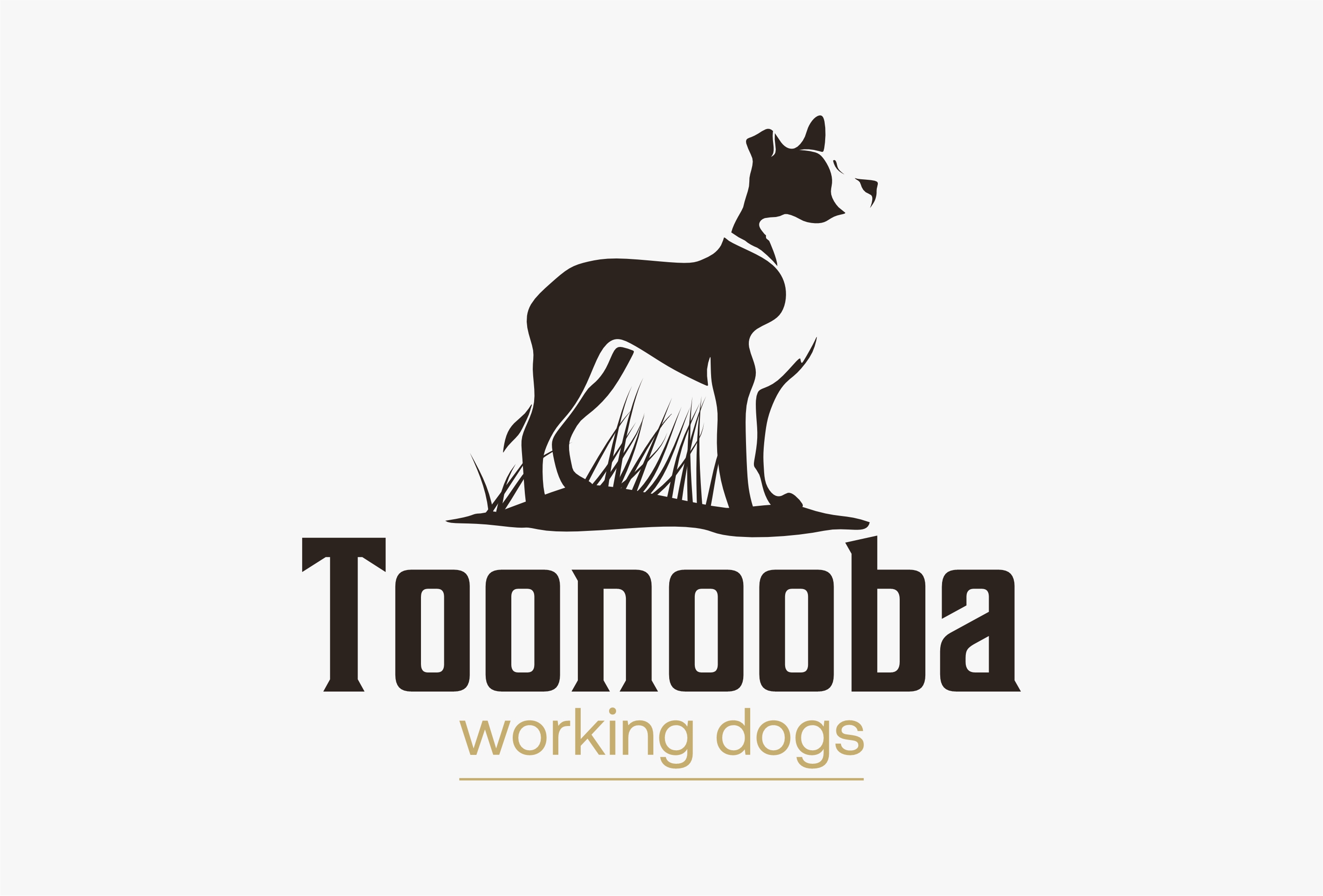 Diseño de Logo por erikdesign para este proyecto | Diseño #34523910