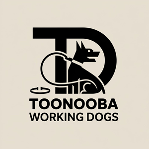 Logo Design by KING JM for this project | Design: #34522763