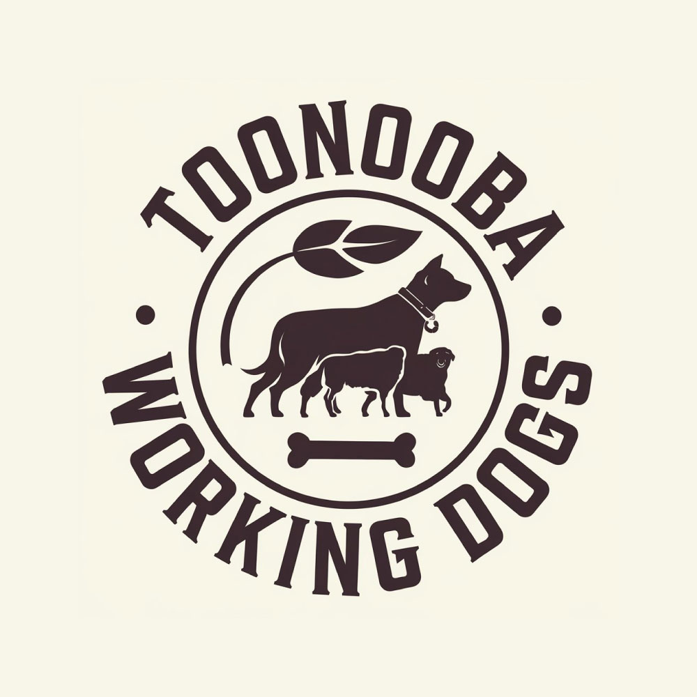 Logo Design by KING JM for this project | Design #34522765