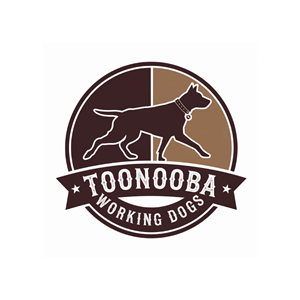 Logo Design by DesignVerse777 for this project | Design: #34525690