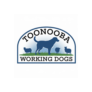 Logo Design by DesignVerse777 for this project | Design: #34525691