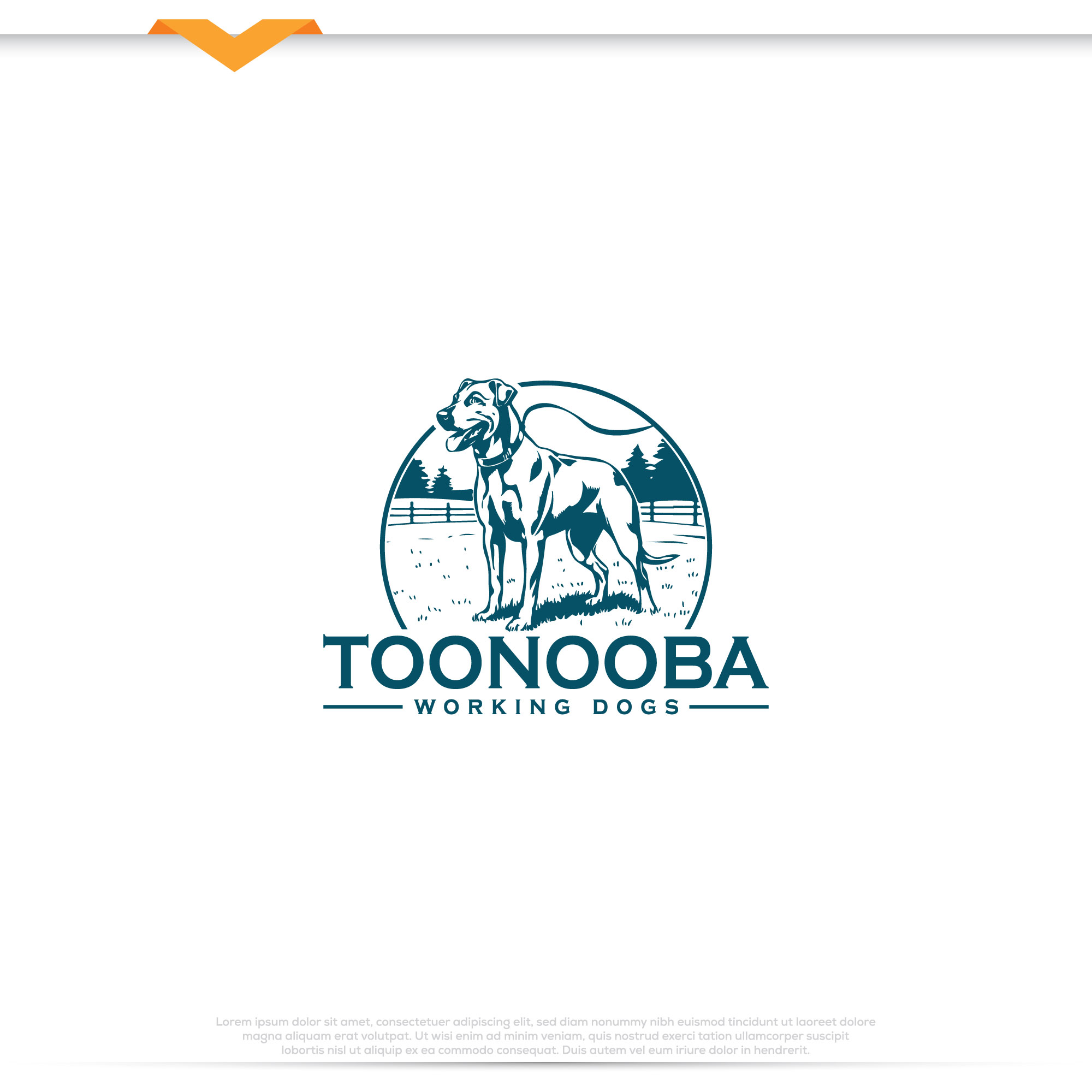 Logo Design by Pilot_DesignR™ for this project | Design #34523884
