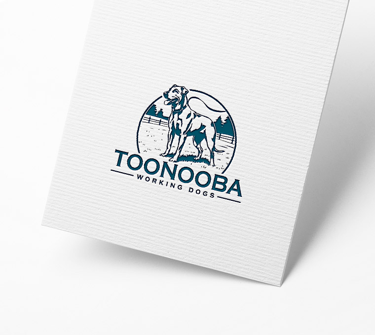 Logo Design by Pilot_DesignR™ for this project | Design #34523886