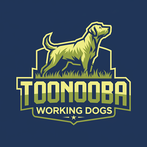 Logo Design by Creative Arif for this project | Design: #34591662