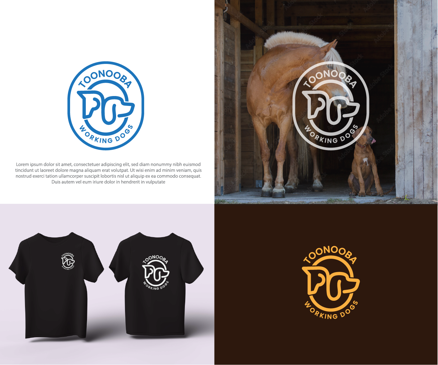 Diseño de Logo por genzo para este proyecto | Diseño #34587543