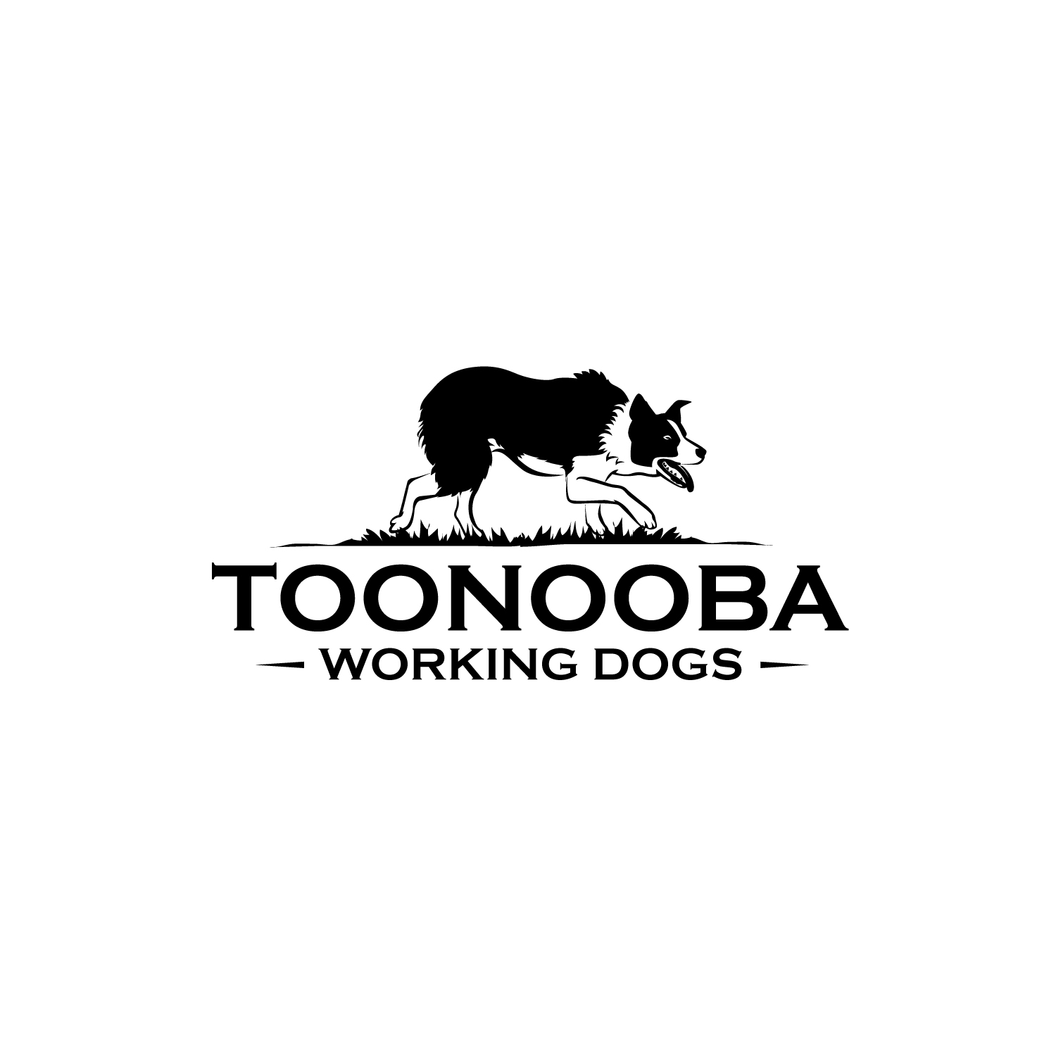 Diseño de Logo por geni para este proyecto | Diseño #34548637