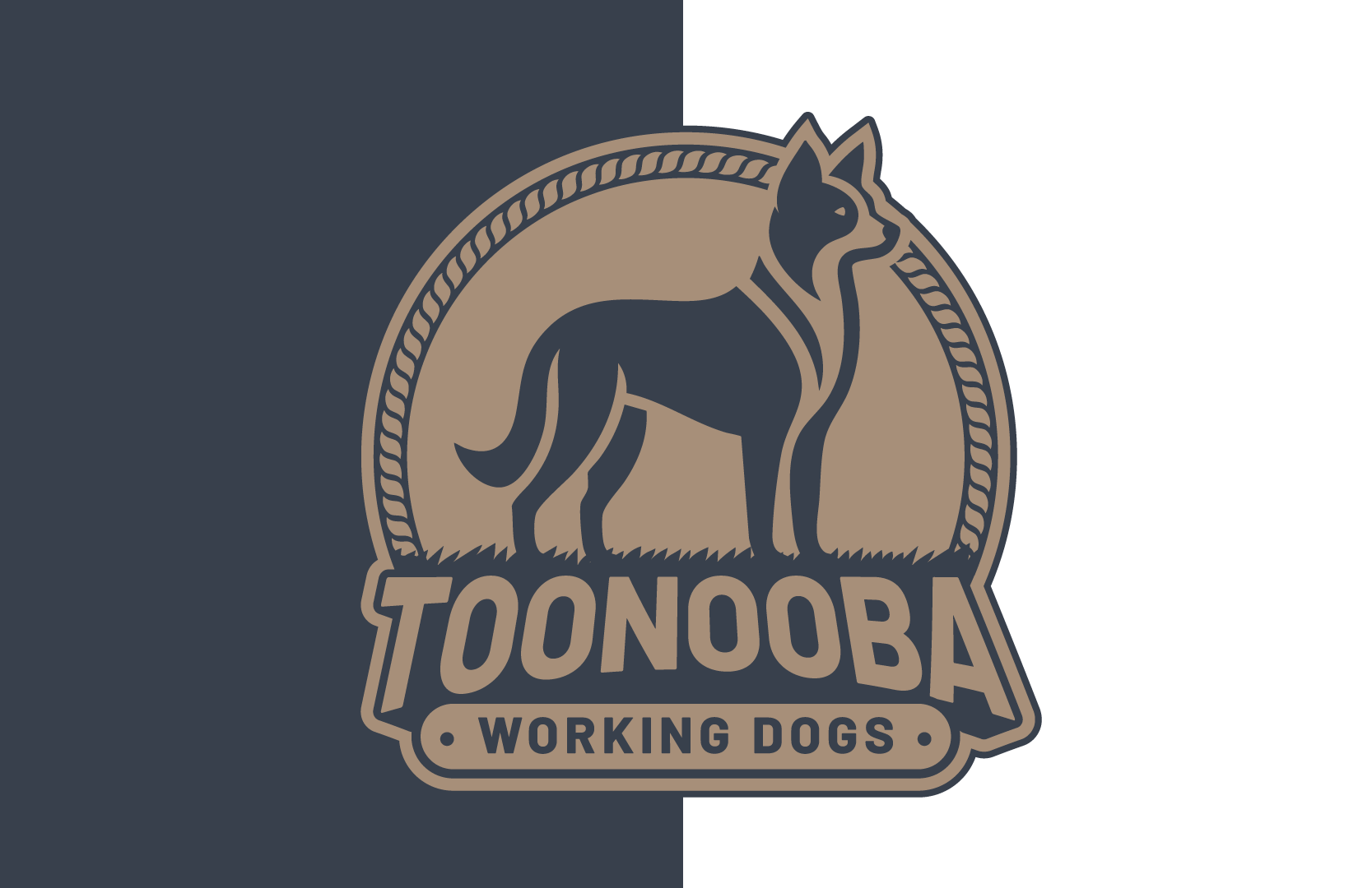Logo Design by adjeiiBlack for this project | Design #34523504