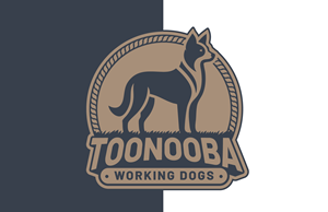 Logo Design by adjeiiBlack for this project | Design: #34523504