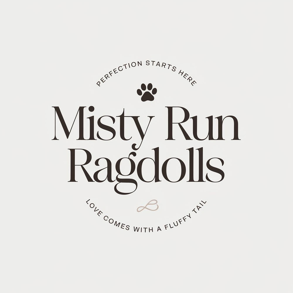 Diseño de Logo por KING JM para este proyecto | Diseño #34522744