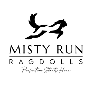 Logo Design by John Mark Arts for this project | Design #34523321