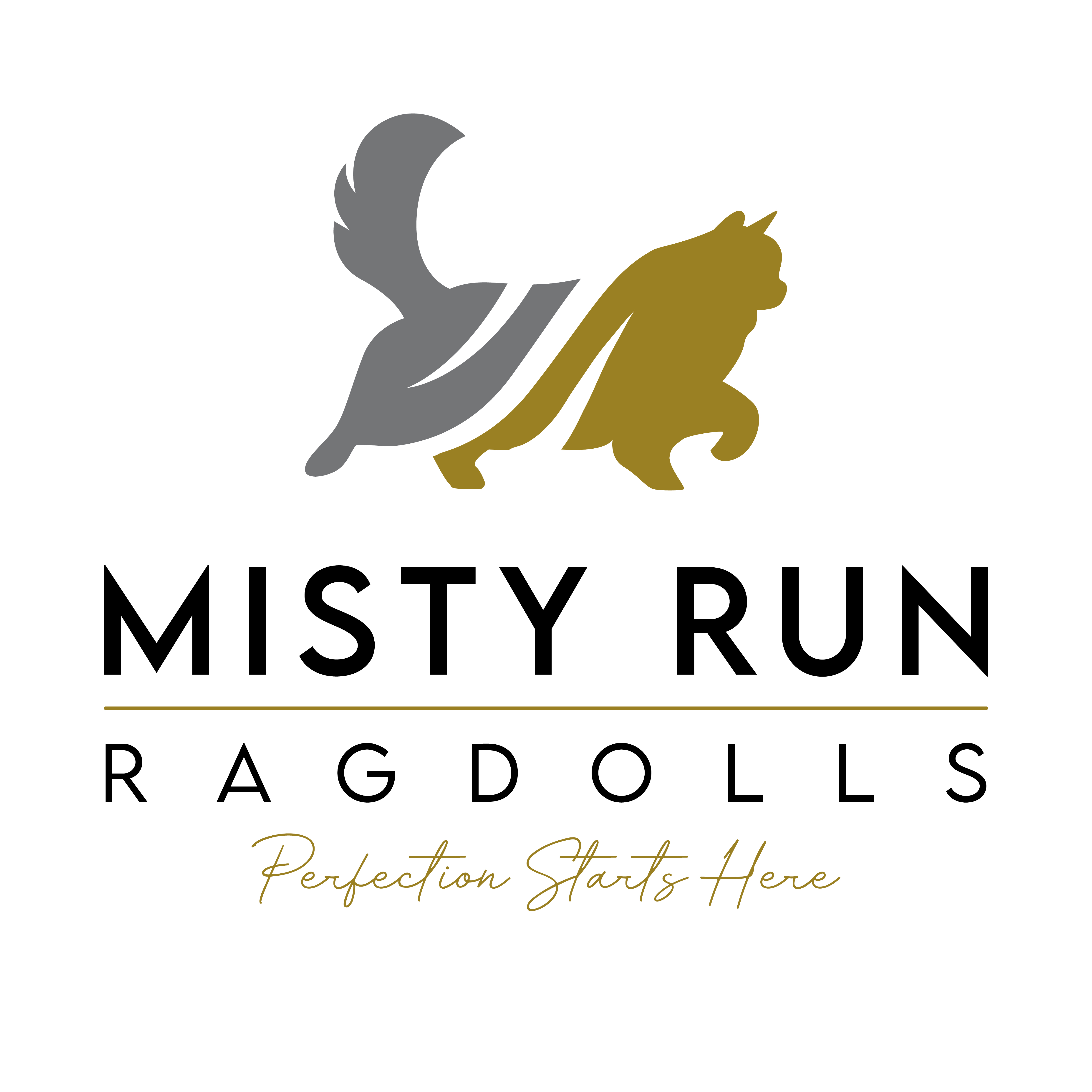 Logo Design by John Mark Arts for this project | Design #34523411