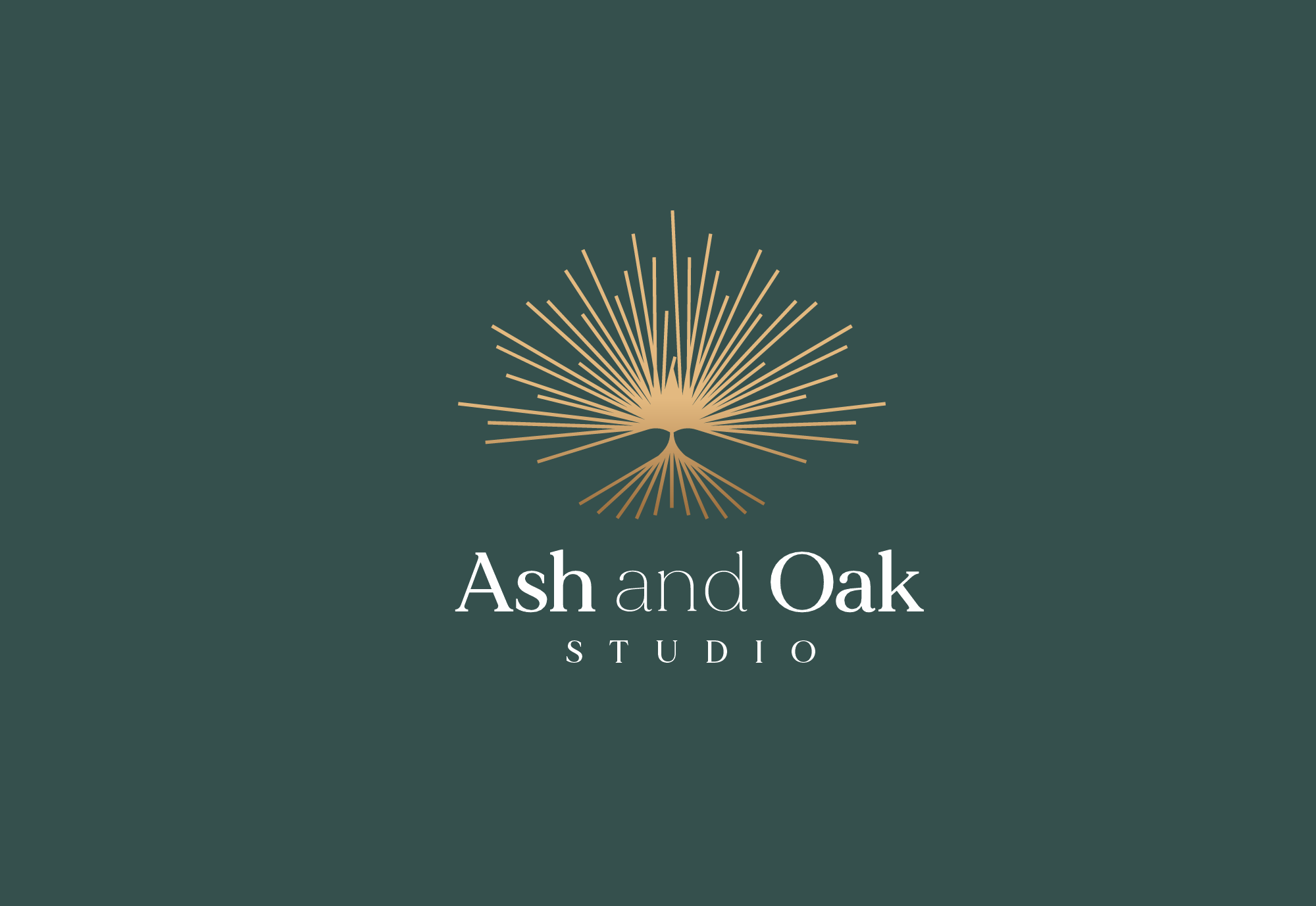 Diseño de Logo por Stelery para este proyecto | Diseño #34571365