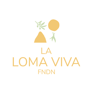 Logo Design by vigs