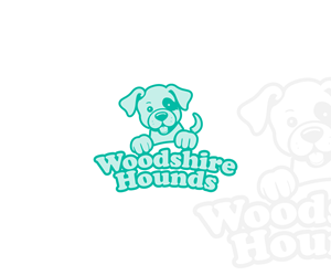 Logo Design by Janith N.