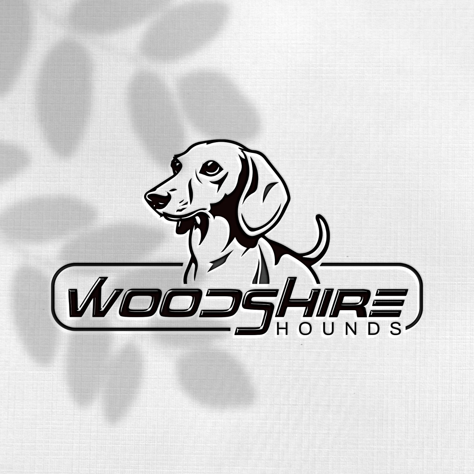 Logo Design by Design_Duo for this project | Design #34605320