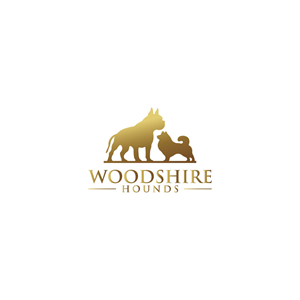 Design de Logo par Hossainlogo324 pour ce projet | Design : #34589665