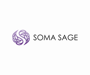Logo Design by skylart28