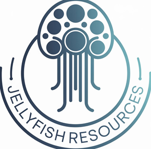 Logo Design by DesignVerse777 for this project | Design: #34555959