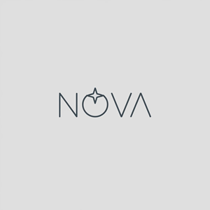 Logo Design by VectorForge for Nova store  | Design: #34553348