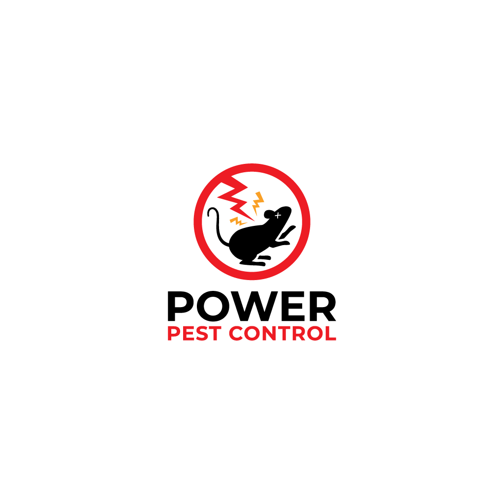 Logo Design by Jerwin Intac for this project | Design #34556049