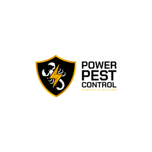 Logo Design by Aljune Castro Designs for this project | Design #34571931