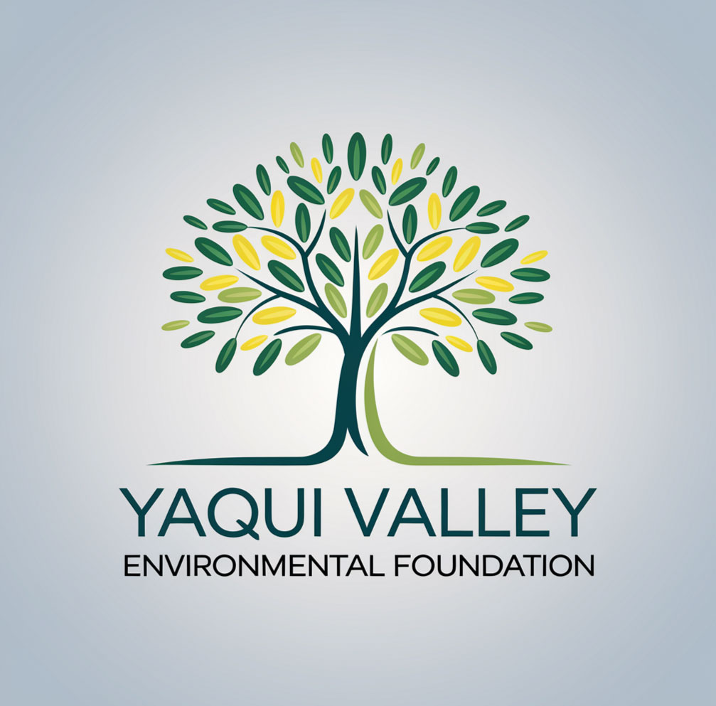 Logo Design by KING JM for this project | Design #34618272