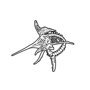 Logo Design by Roland C