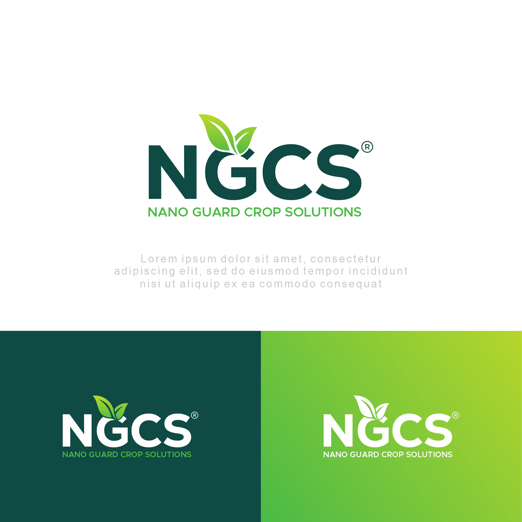 Logo Design by sabina aiko for this project | Design #34567788