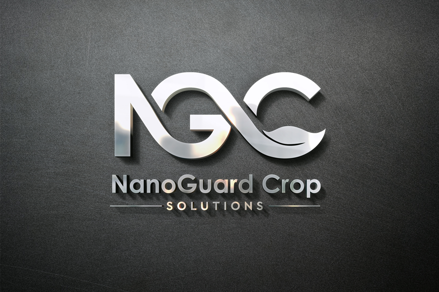 Logo Design by 4lv for this project | Design #34611291