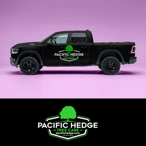 Car Wrap Design by Barish Design for Pacific Hedge Tree Care | Design: #34565551