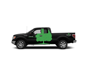 Car Wrap Design by C1 Media