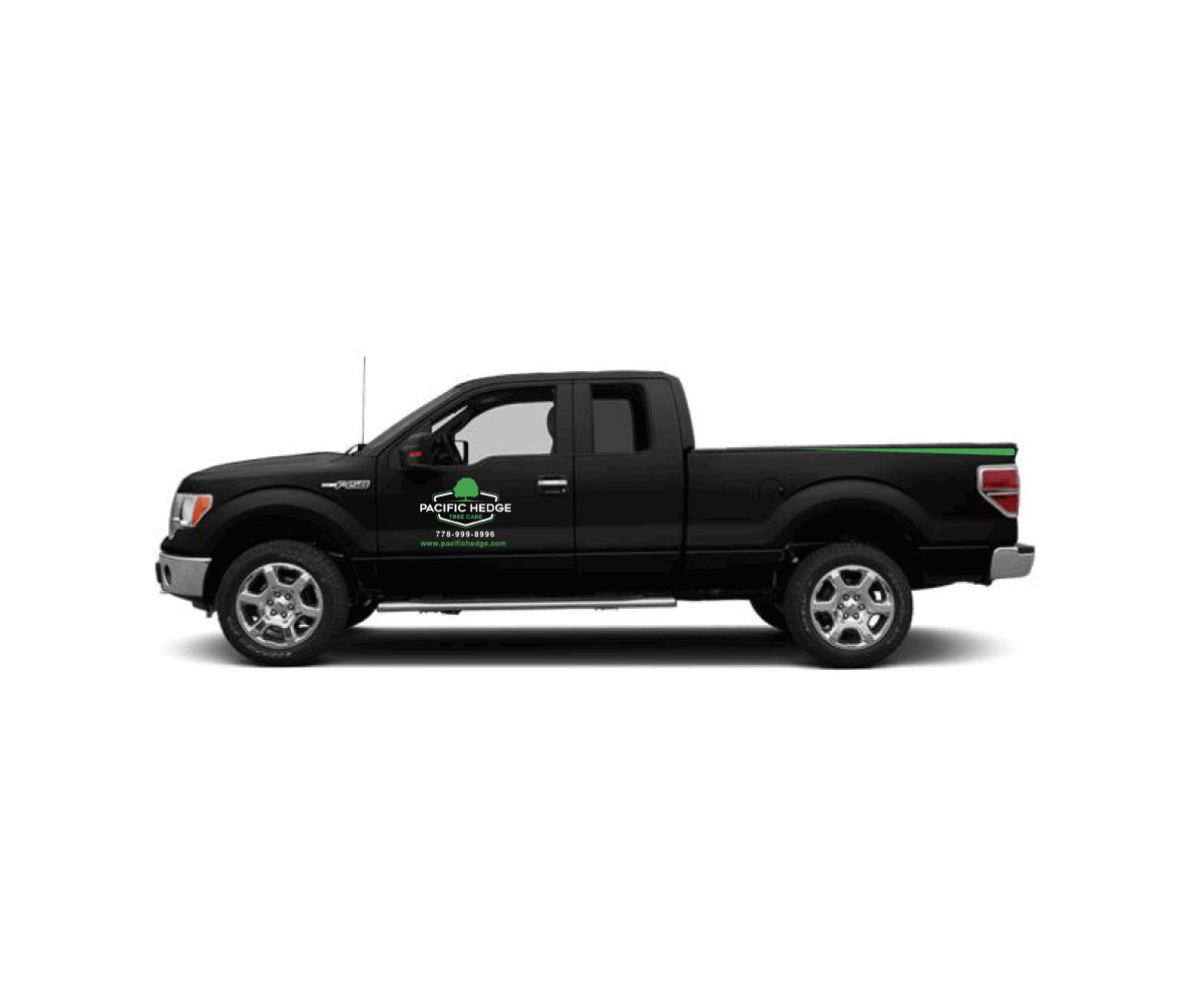 Car Wrap-Design von C1 Media für Pacific Hedge Tree Care | Design #34582302