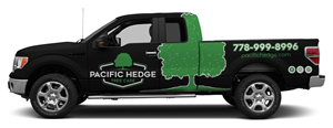 Car Wrap Design by The Faisal for Pacific Hedge Tree Care | Design: #34563289