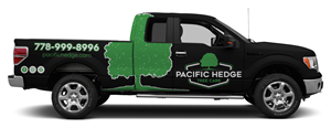 Car Wrap Design by The Faisal for Pacific Hedge Tree Care | Design: #34563291