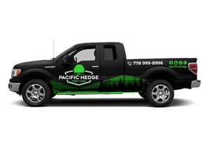 Car Wrap Design by Javelin Studio for Pacific Hedge Tree Care | Design: #34575280