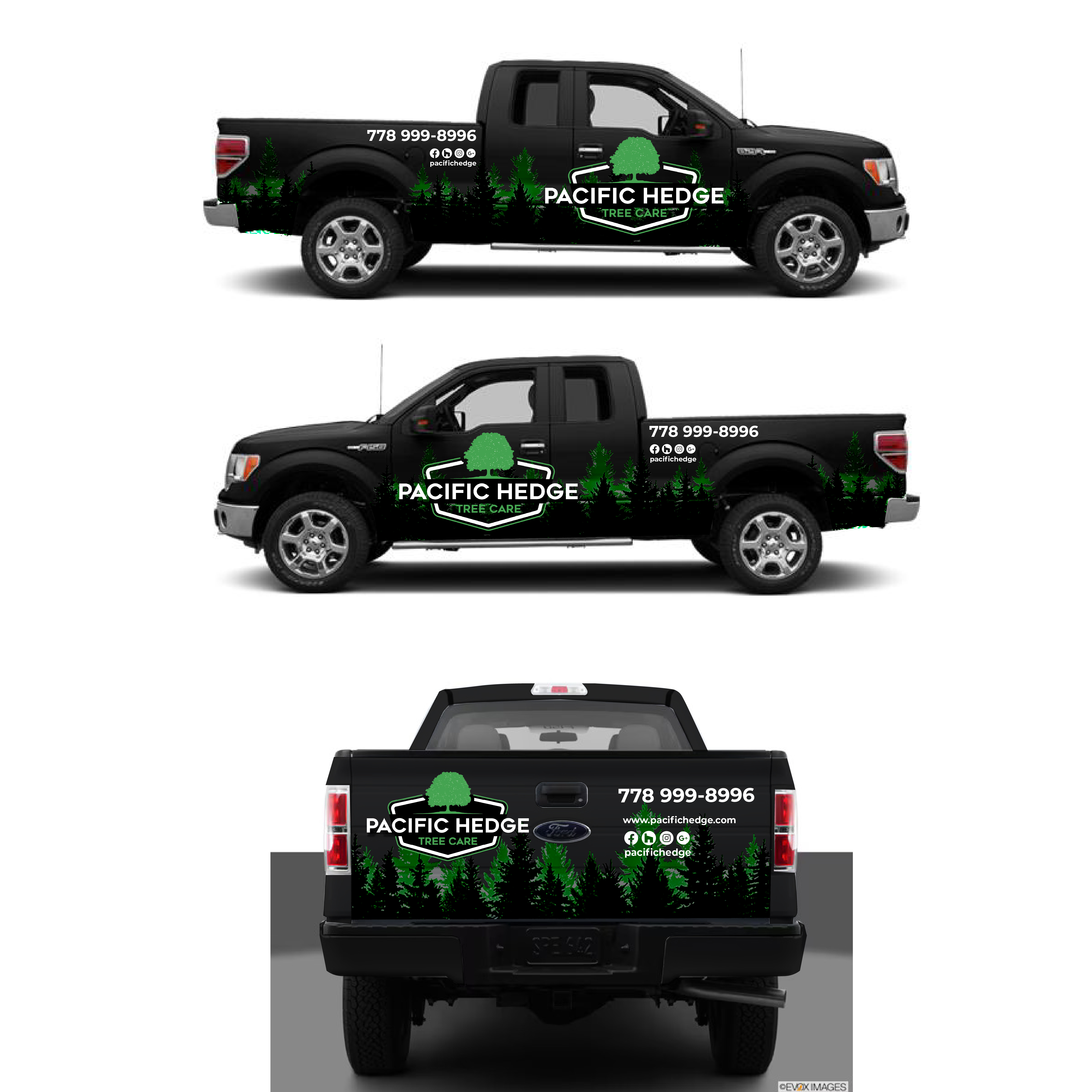 Car Wrap Design by Javelin Studio for Pacific Hedge Tree Care | Design #34588713