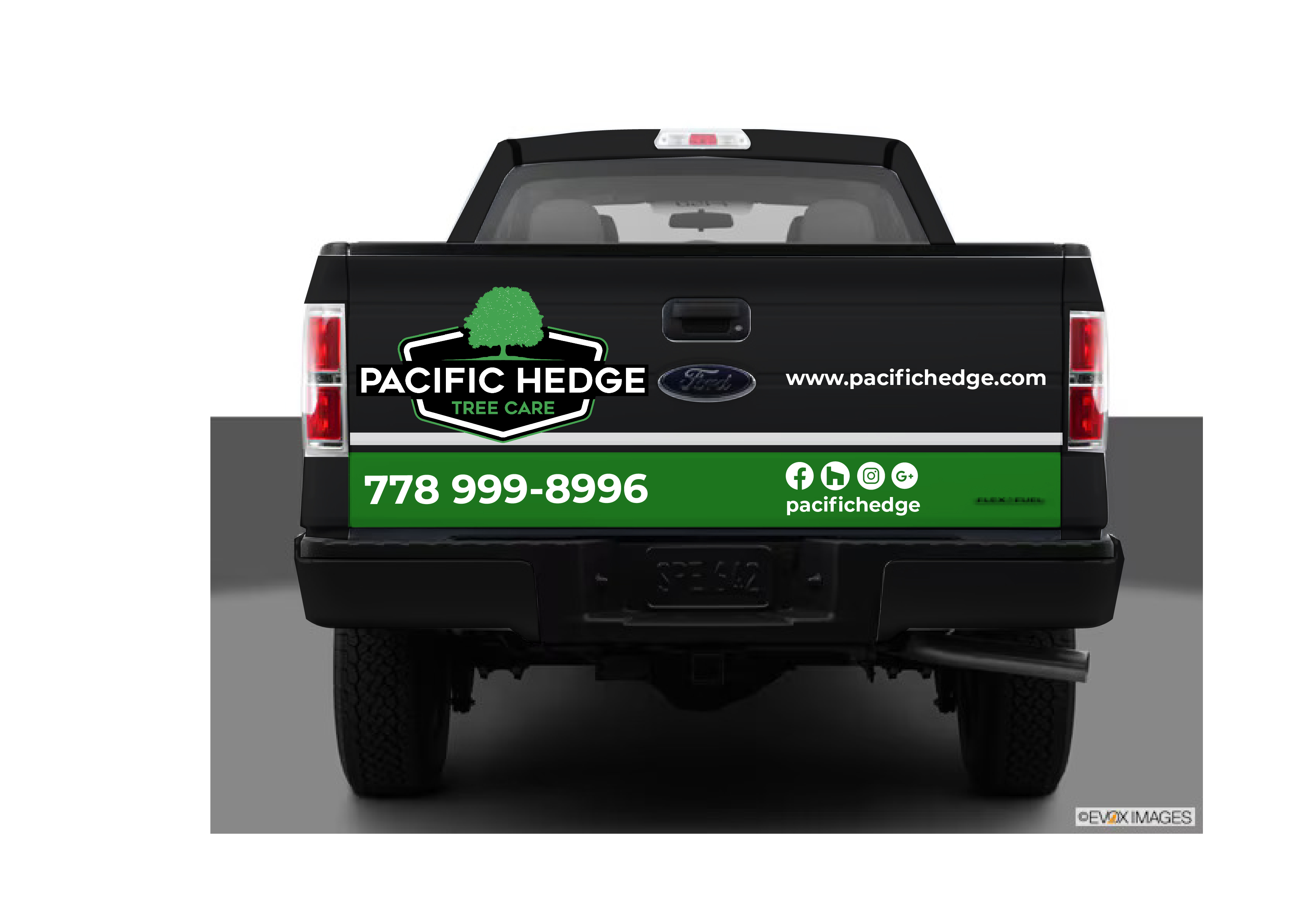 Car Wrap Design by Javelin Studio for Pacific Hedge Tree Care | Design #34599955