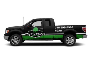 Car Wrap Design by Javelin Studio for Pacific Hedge Tree Care | Design: #34599957