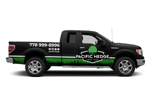 Car Wrap Design by Javelin Studio for Pacific Hedge Tree Care | Design: #34604264